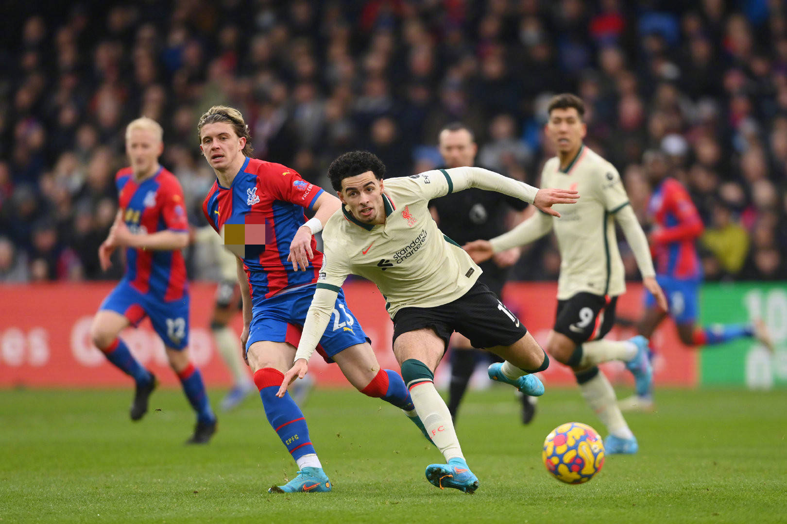 例并不少见 例并不少见